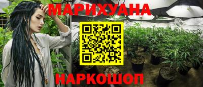 стафф Кимры