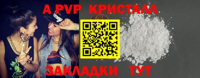 jwh Кингисепп